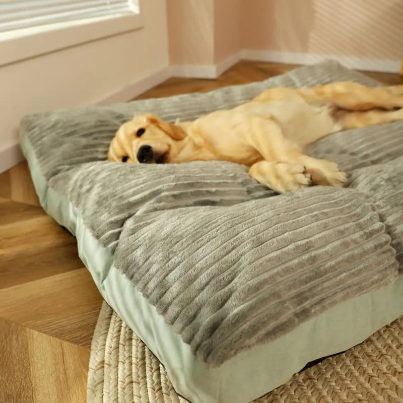 Hundebett Komfort – Optimale Unterstützung und friedliche Ruhe