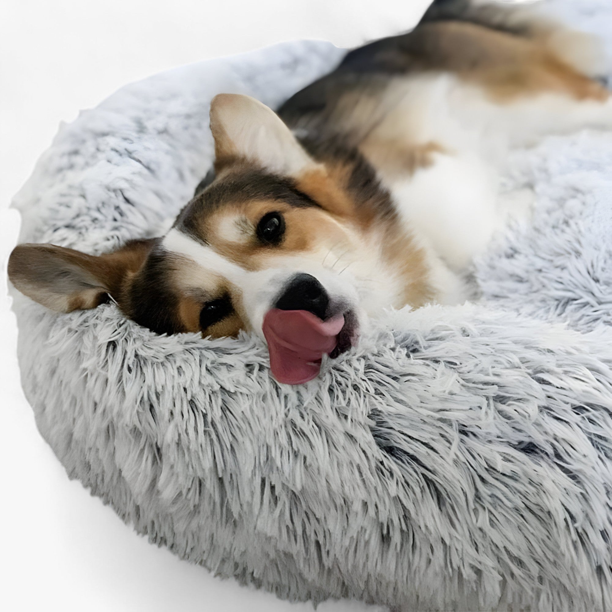 Cama Agradable Para Animales – Confortable y Sueño Reparador