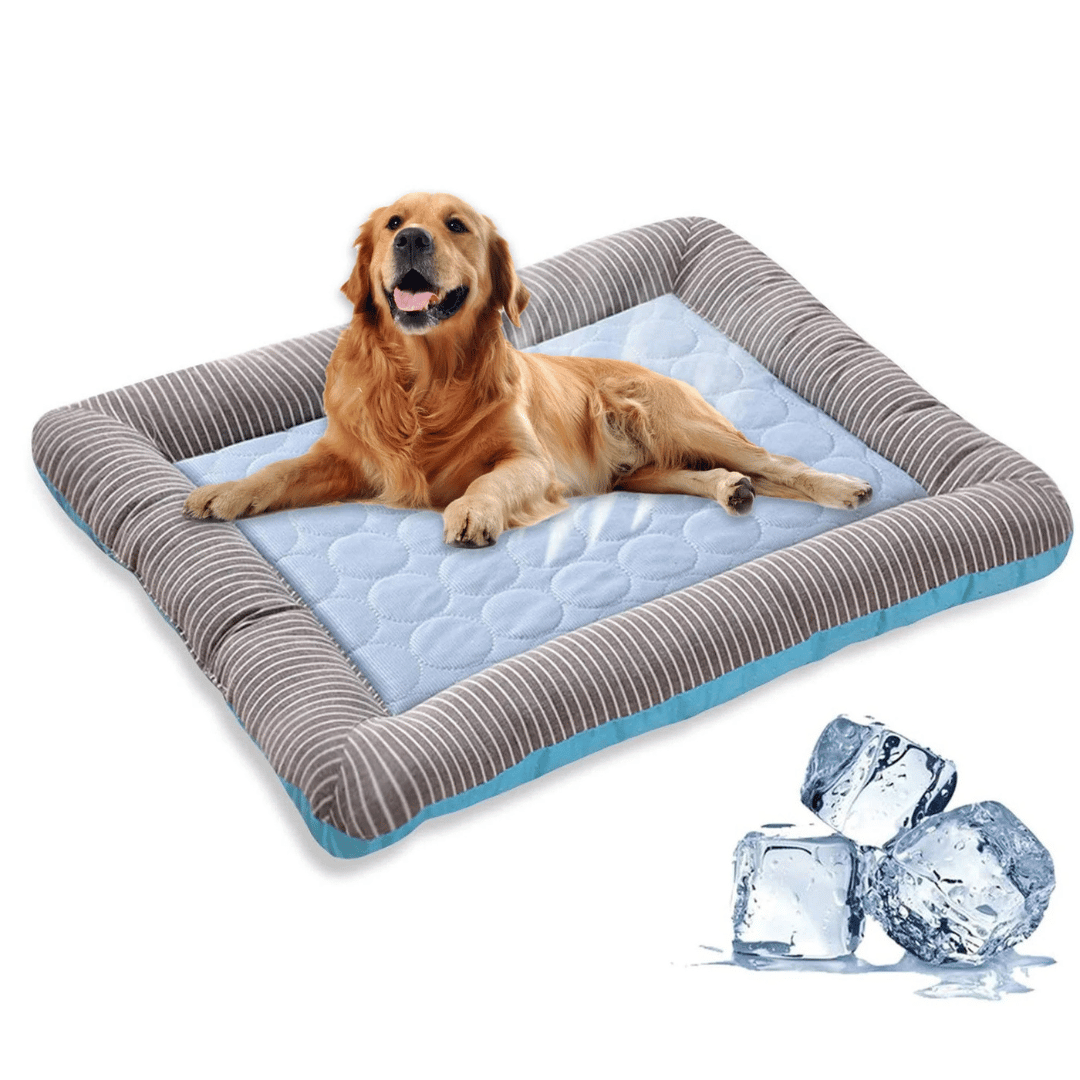 Kühlkissen für Hunde – Frische und Komfort im Sommer