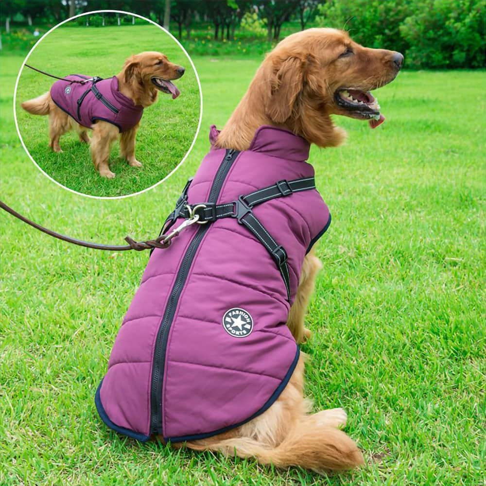 犬用防水パーカー - 保護とスタイル