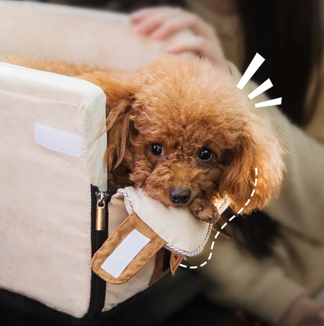 Cama De Viaje Para Mascotas — Comodidad Y Serenidad En Cualquier Lugar