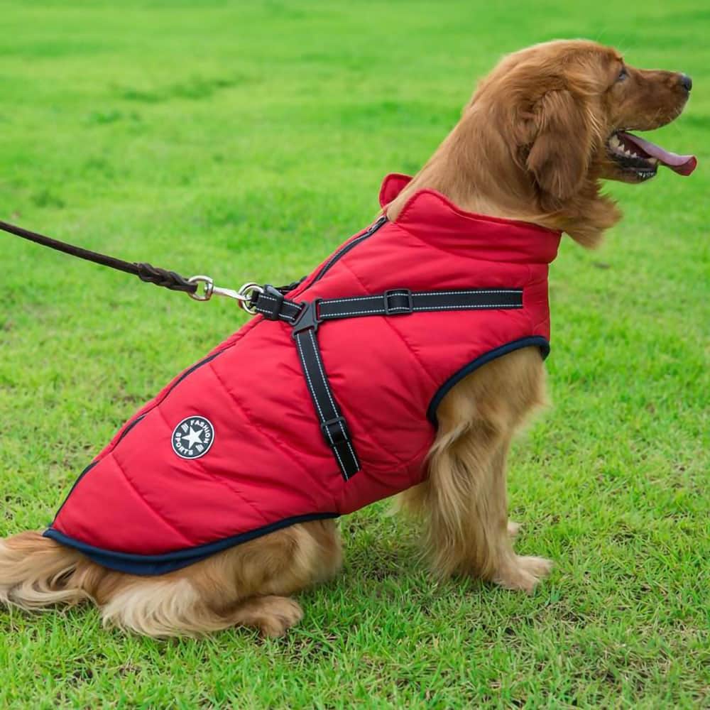 犬用防水パーカー - 保護とスタイル