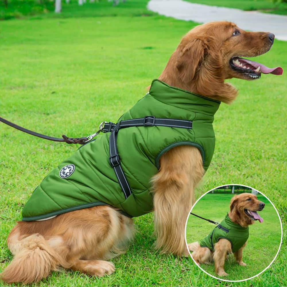犬用防水パーカー - 保護とスタイル