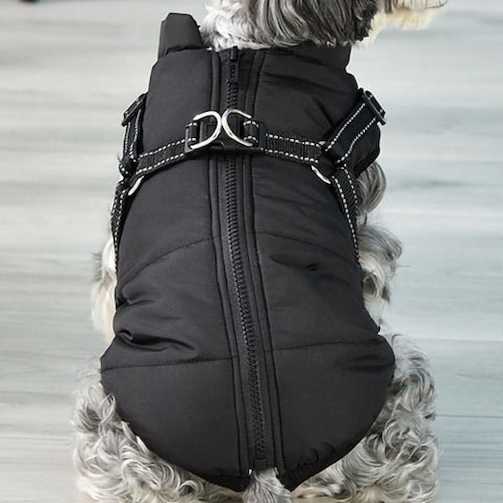 犬用防水パーカー - 保護とスタイル