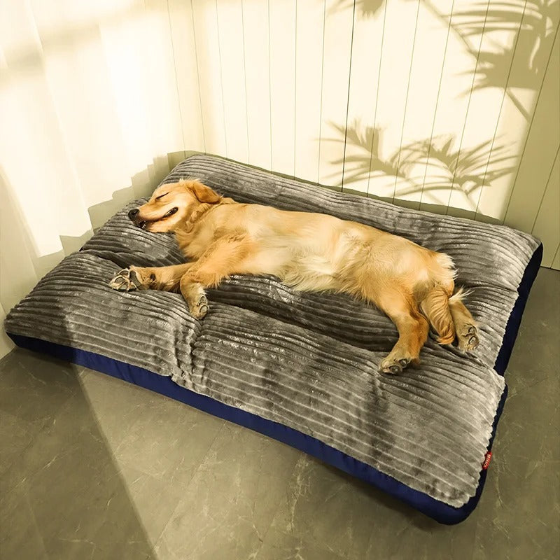 Hundebett Komfort – Optimale Unterstützung und friedliche Ruhe