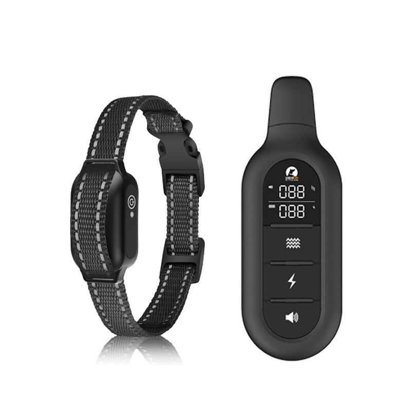 Collier De Dressage Avec Télécommande – Éducation Efficace