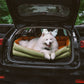 Cadeira de Auto para Cão – Conforto e Proteção 