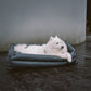 Cadeira de Auto para Cão – Conforto e Proteção 