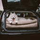 Cadeira de Auto para Cão – Conforto e Proteção 