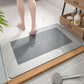 Super Absorbent Floor Mat – Cleanliness and Quick Drying 