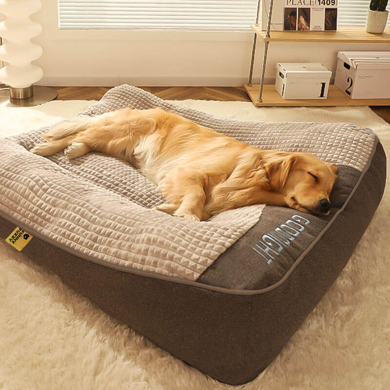 Scratch-Resistant Dog Cushion with Back Protection – Comfort and Durability 