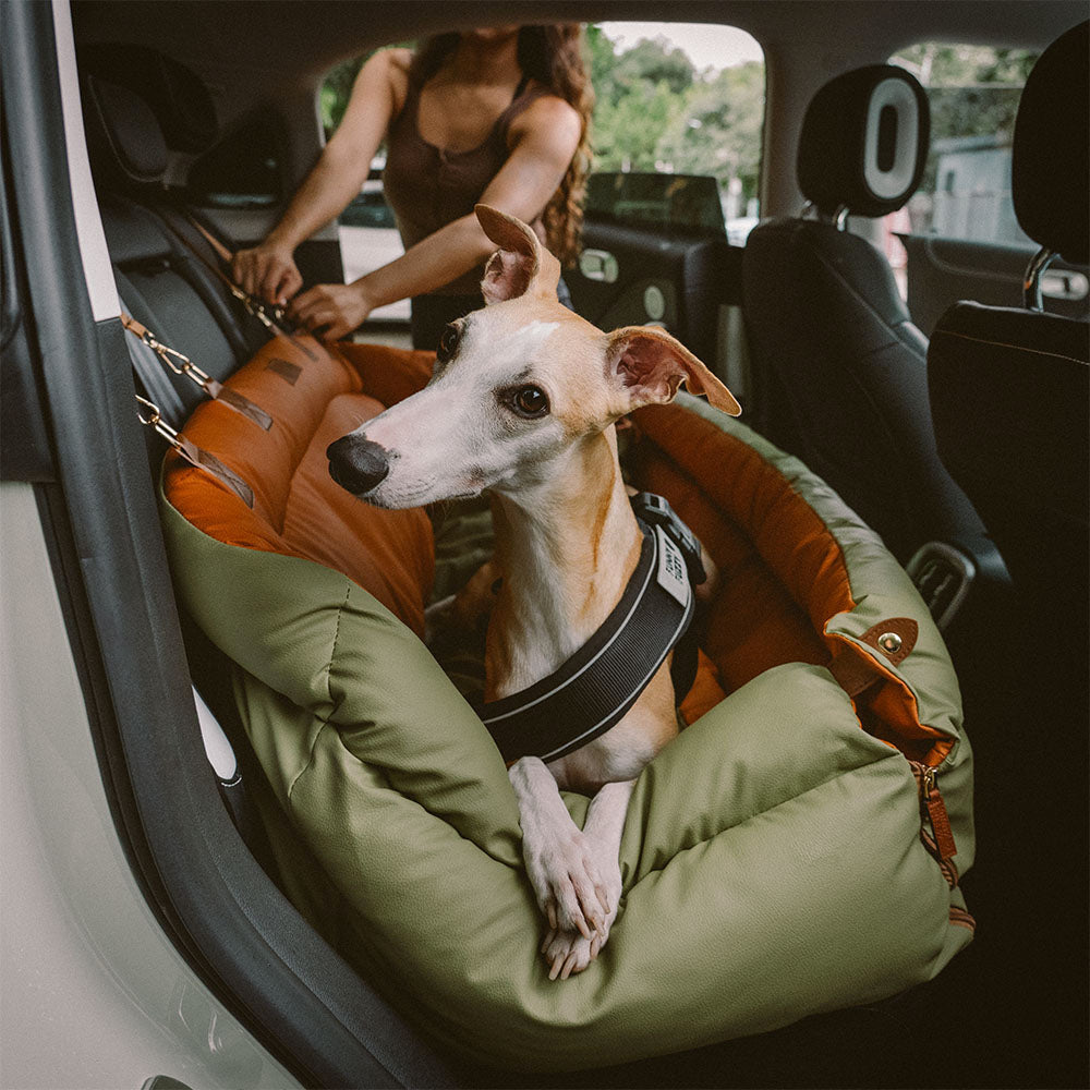 Cadeira de Auto para Cão – Conforto e Proteção 