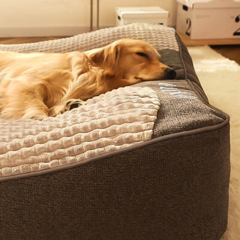 Scratch-Resistant Dog Cushion with Back Protection – Comfort and Durability 