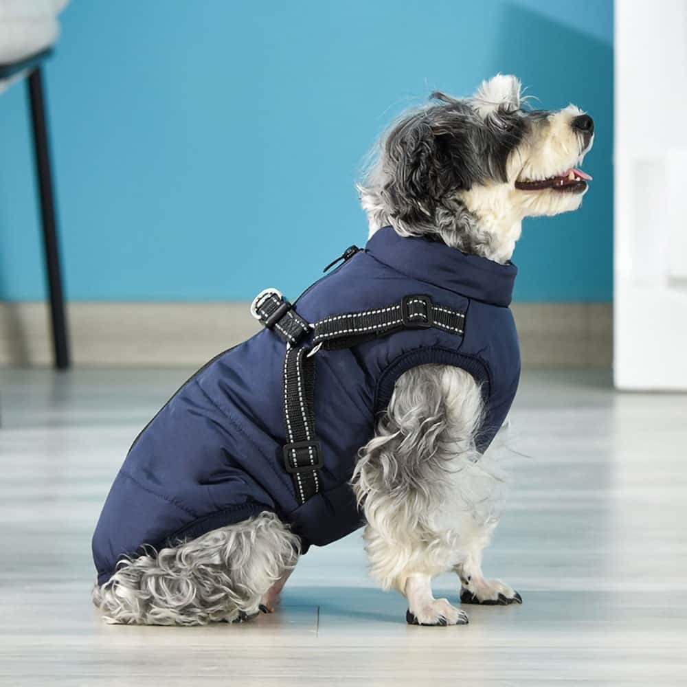 犬用防水パーカー - 保護とスタイル 