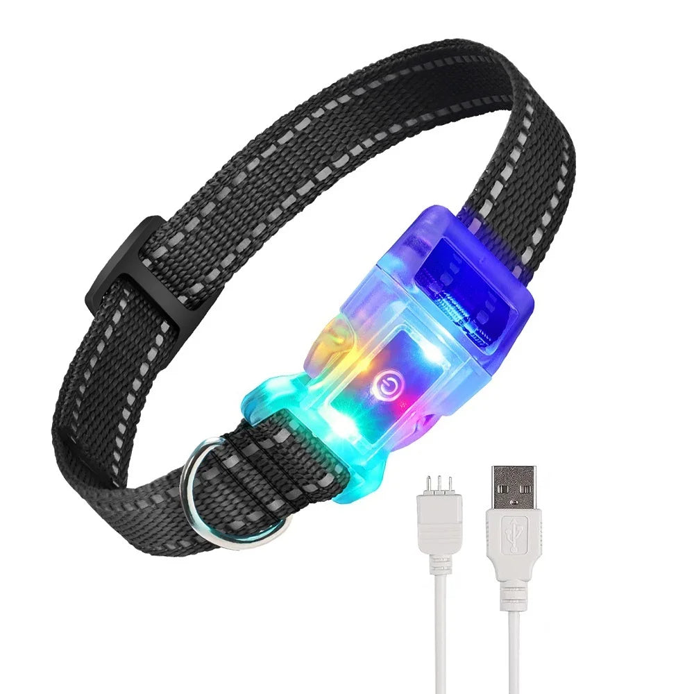 Collier De Dressage Sans Choc – Télécommande Jusqu’à 1000 m