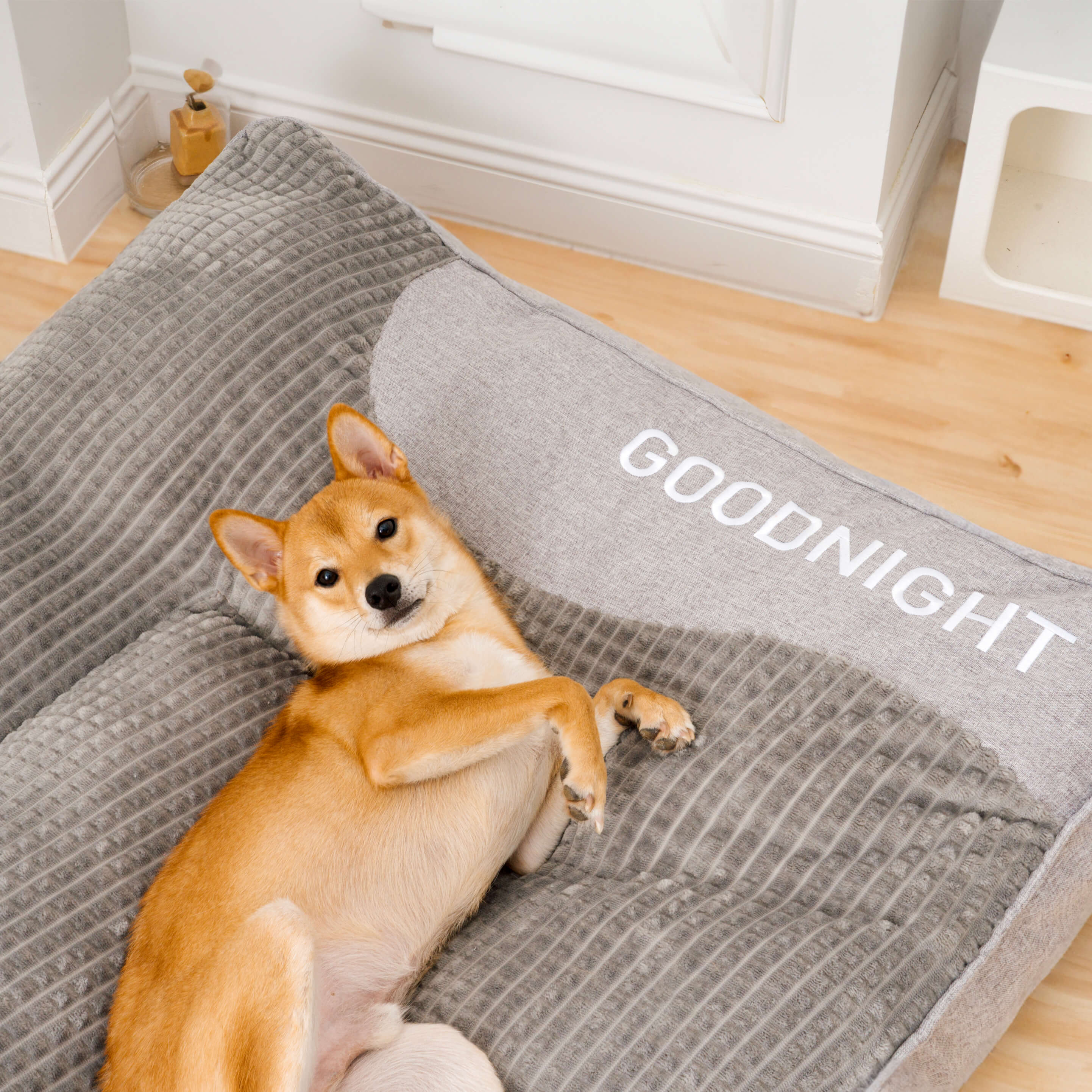 Scratch-Resistant Dog Cushion with Back Protection – Comfort and Durability 