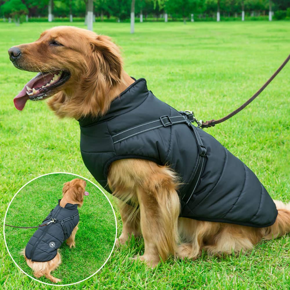 犬用防水パーカー - 保護とスタイル 